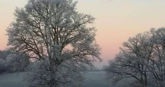 paysage domaine des roses paysage domaine des roses