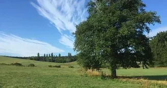 paysage domaine des roses paysage domaine des roses