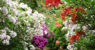 Arboretum de Balaine