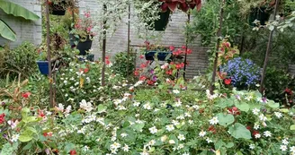 Jardin des Némusiens Jardin des Némusiens