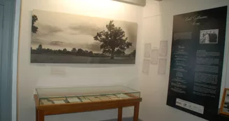 Musée Émile Guillaumin Musée Émile Guillaumin