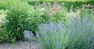 Jardin des plantes médicinales Jardin des plantes médicinales