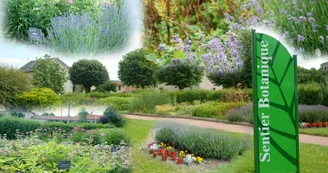 Jardin des plantes médicinales Jardin des plantes médicinales