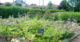 Jardin des plantes médicinales Jardin des plantes médicinales
