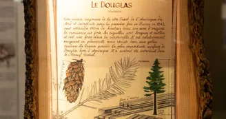 Musée du bois et de la forêt et scierie à eau Musée du bois et de la forêt et scierie à eau