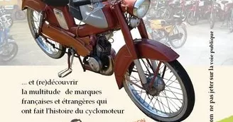 Musée de la Mob