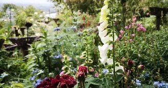 Les Jardins des Hurlevents Les Jardins des Hurlevents