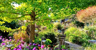 Les Jardins des Hurlevents Les Jardins des Hurlevents