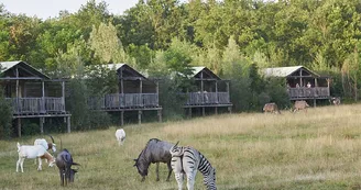 Le PAL - Parc d'attractions et animalier Le PAL - Parc d'attractions et animalier