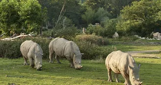Le PAL - Parc d'attractions et animalier Le PAL - Parc d'attractions et animalier