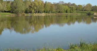 Plan d'eau
