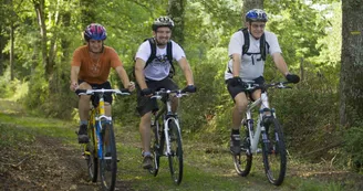Base VTT FFCT - Le Vert Plateau
