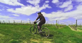 Un Vélo à la campagne Un Vélo à la campagne