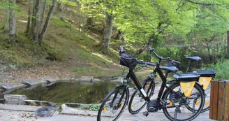 Un Vélo à la campagne Un Vélo à la campagne