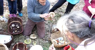 Découverte de la Forêt et du Pays de Tronçais par CAP Tronçais Découverte de la Forêt et du Pays de Tronçais par CAP Tronçais