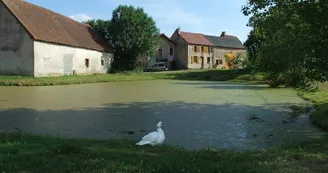 Mare communale du Peux