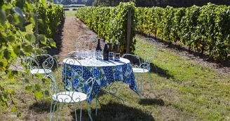 Domaine Grosbot Barbara
