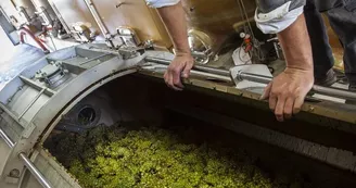 Domaine Grosbot Barbara