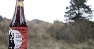 Microbrasserie