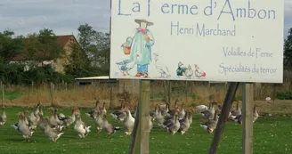 Le Ferme d'Ambon