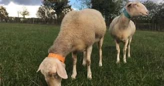 La Ferme de la Passiflore