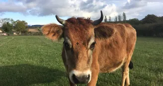 La Ferme de la Passiflore