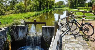 Aux Baboteurs - Location de cycles et excursions accompagnées autour du canal de Berry