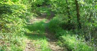 Sentier pédagogique du ruisseau ''Le Sapey'' Sentier pédagogique du ruisseau ''Le Sapey''