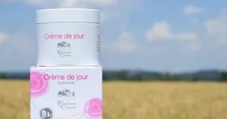 Les Bénédictines de Chantelle