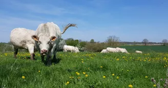 Ferme argro-logique de Layat Ferme argro-logique de Layat