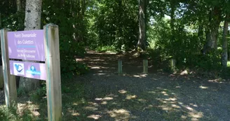 Sentier  forestier du petit Salbrune