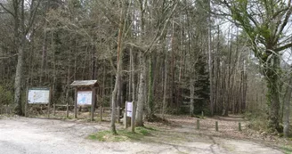 Sentier  forestier du petit Salbrune