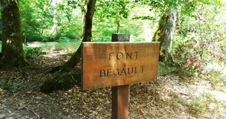 Circuit de Saint-Mayeul