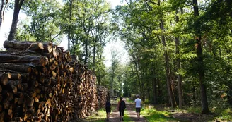 Circuit Le sentier des Merrandiers