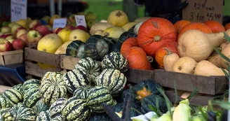 Marché du quartier Fontbouillant