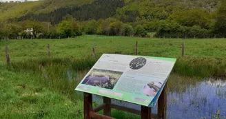 Espace Naturel Sensible de la Haute Vallée du Cher Espace Naturel Sensible de la Haute Vallée du Cher