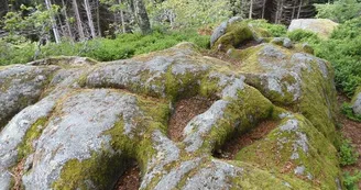 Pierres Druidiques