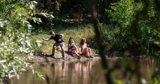 Forêt de Montpensier Forêt de Montpensier