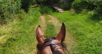 Balade à cheval entre Nièvre et Allier