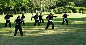 Association Viet Vo Dao