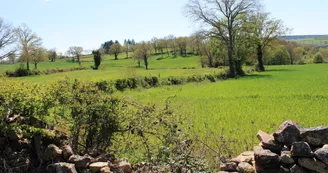Circuit Les mares et les murets