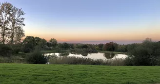 Etang - Le Monsiau Etang - Le Monsiau