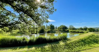 Etang - Le Monsiau Etang - Le Monsiau