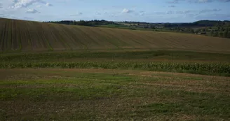 Les hauts de Chazeuil