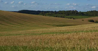La Pérotte