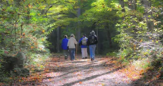 Les Bruyères Les Bruyères