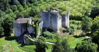 Autour des tureaux