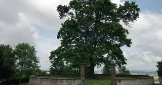 Belvédère de Charroux
