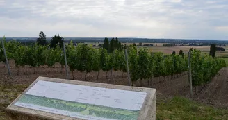 Panorama à la Chapelle de Briailles