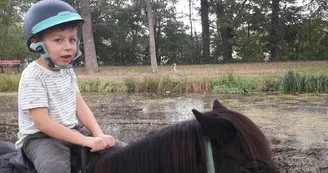 ADADA : Balades à poneys